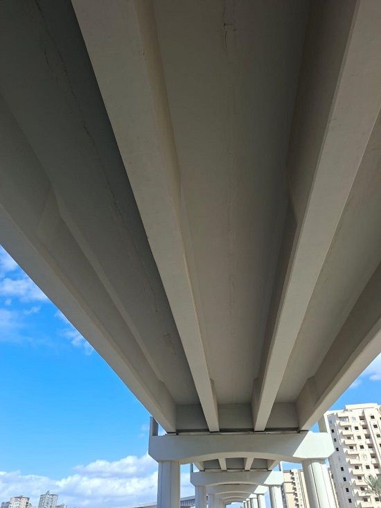 كوبري 45 الدولي بالإسكندرية (14)