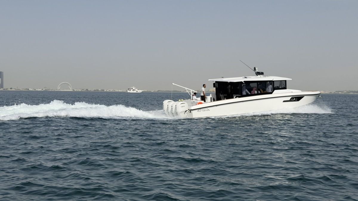 53024abc4d.jpg