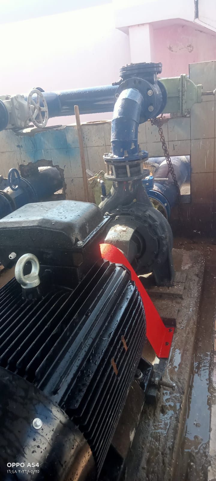 d91c2ca9f2.jpg