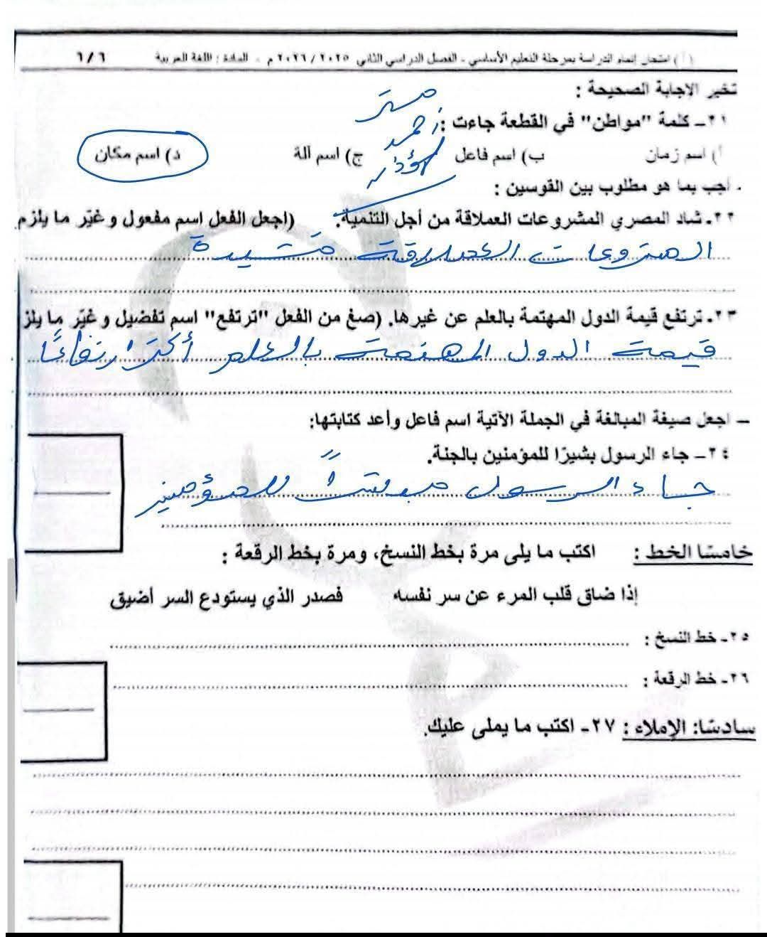 19fec3301a.jpg