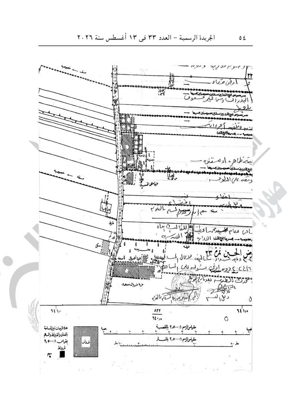 172ee03d76.jpg