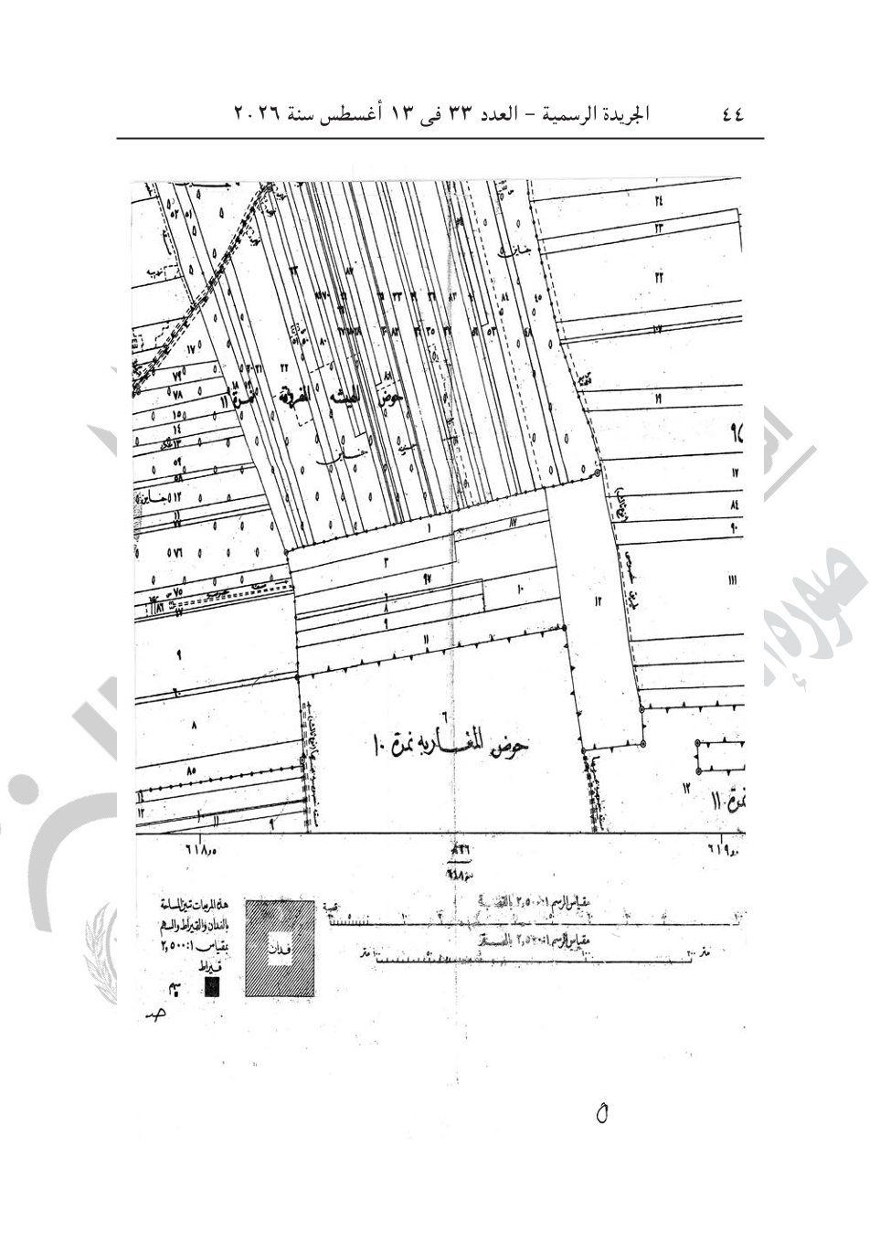 c9592df515.jpg