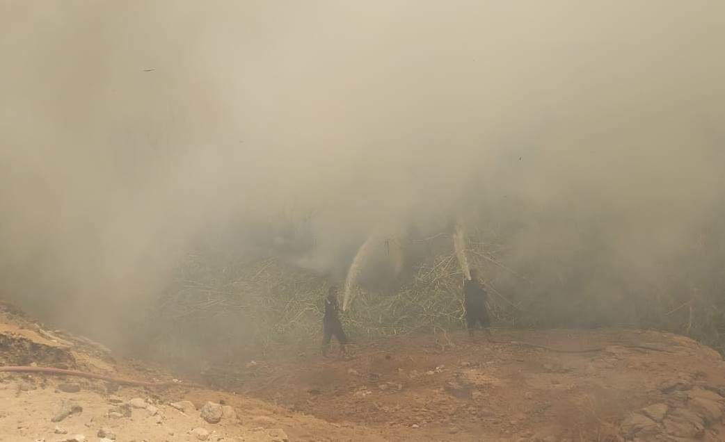 eb7cd8c8e9.jpg