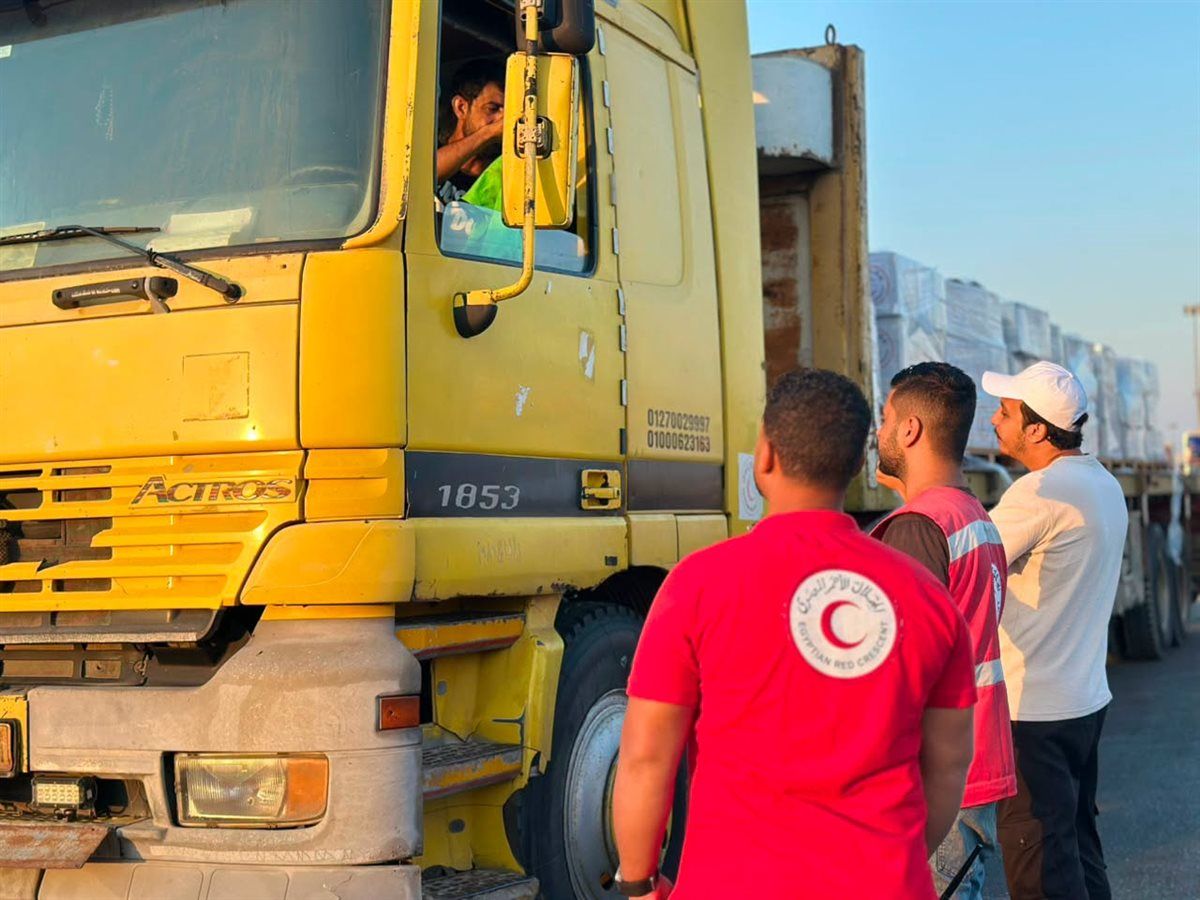 a787960928.jpg