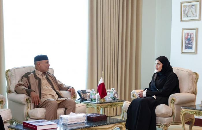 وزير الدولة للتعاون الدولي تودع سفير ليبيا