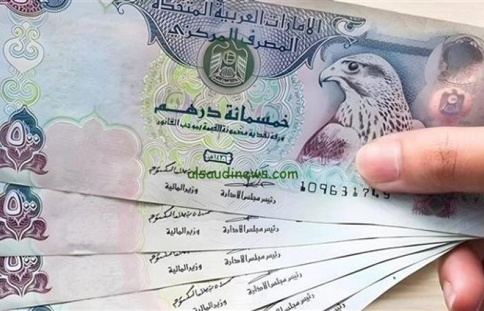 تراجع سعر الدرهم الإماراتي أمام الجنيه في البنوك المصرية اليوم الأربعاء