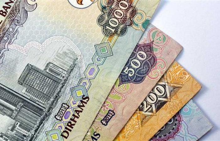 تراجع سعر الدرهم الإماراتي أمام الجنيه في البنوك المصرية اليوم الأربعاء