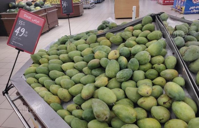 أسعار المانجو اليوم، ارتفاع يصل إلى 10 جنيهات في 6 أنواع منها الفص والصديقة