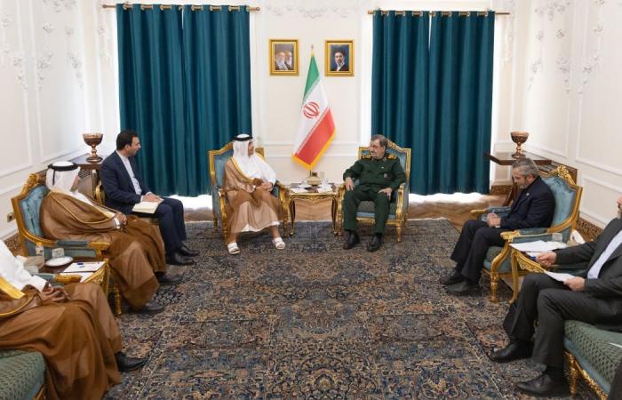 رئيس مجلس الوزراء يجتمع مع أمين المجلس الأعلى للأمن القومي الإيراني