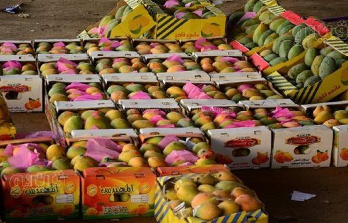 أسعار المانجو اليوم، ارتفاع يصل إلى 10 جنيهات في 6 أنواع منها الفص والصديقة