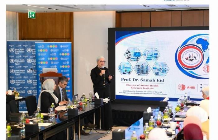 "الصحة الحيوانية" تشارك في ورشة "الفاو" لمواجهة مقاومة المضادات الحيوية