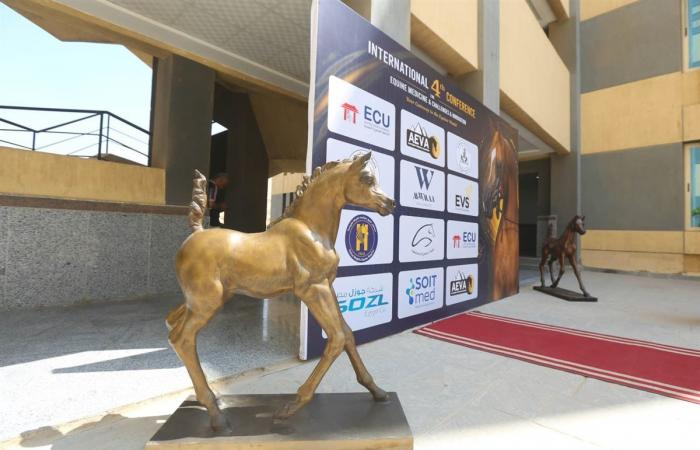 الجامعة المصرية الصينية تطلق المؤتمر الرابع لطب الخيول