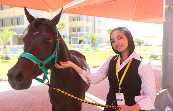 الجامعة المصرية الصينية تطلق المؤتمر الرابع لطب الخيول