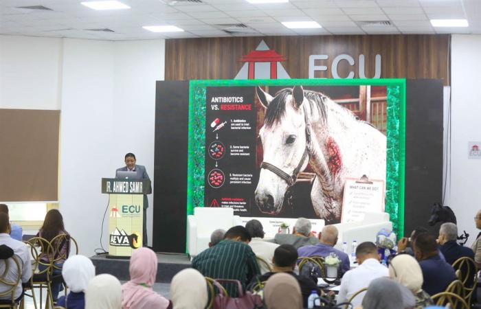 الجامعة المصرية الصينية تطلق المؤتمر الرابع لطب الخيول