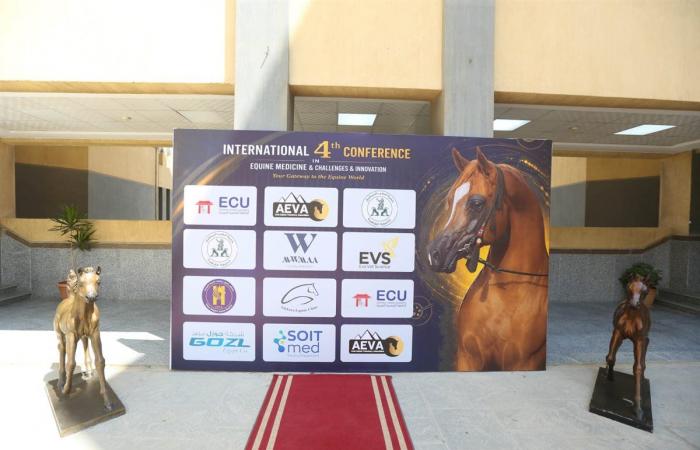 الجامعة المصرية الصينية تطلق المؤتمر الرابع لطب الخيول