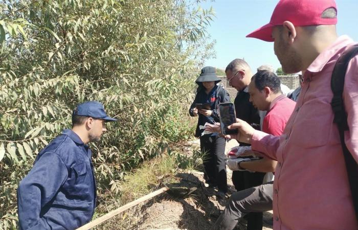 الصحة تكشف أحدث تقنيات الصين لفحص القواقع الناقلة للبلهارسيا والفاشيولا
