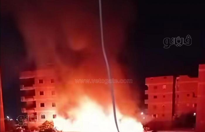 إعصار النار والدخان يثير فزع الأهالي، حريق هائل يلتهم مصنع أخشاب في عزبة رشوان بالشرقية (صور)