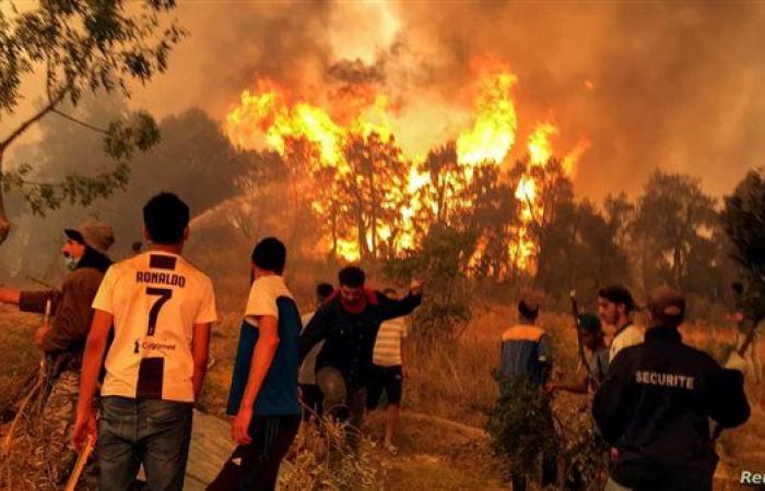 مصر تعرب عن تضامنها الكامل مع الجزائر في مواجهة حرائق الغابات
