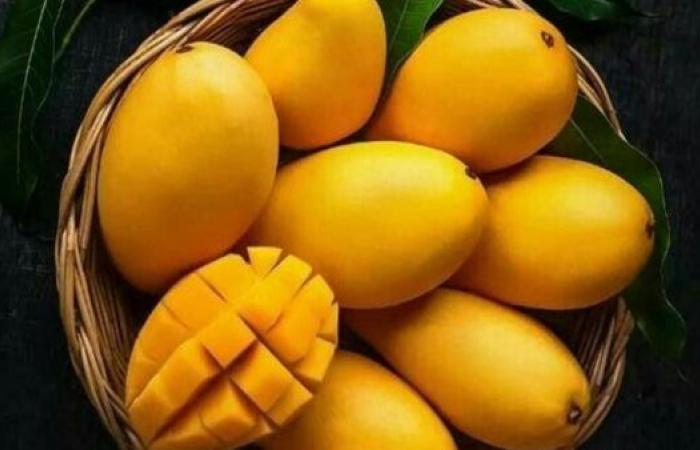 معهد التغذية يحذر من الإفراط في تناول المانجو: 4 أعراض تظهر فجأة وفي أي مرحلة عمرية