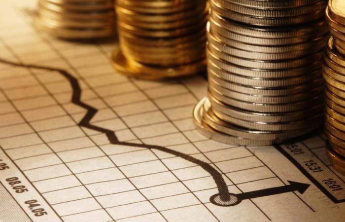 لاستثمار الأجنبي في ميزان التنمية.. خبراء: الاستثمارات الإنتاجية محرك للنمو.. تخلق فرص عمل وتدعم الصادرات.. ونجاحها يقاس بالقيمة المضافة للاقتصاد