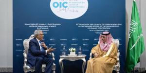 وزير الخارجية يلتقي وزير الخارجية الباكستاني
