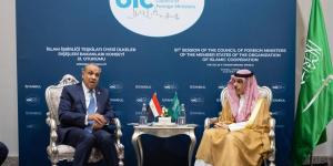 وزير الخارجية يلتقي وزير خارجية مصر