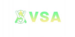 منصة VSA وعدت المصريين بالربح وسرقتهم في صمت