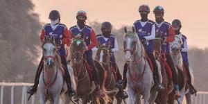 «الإسطبلات الخاصة» يدشّن فعاليات كأس رئيس الدولة للقدرة