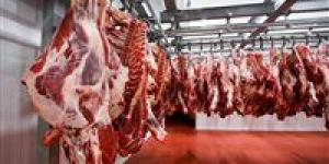 أسعار
      اللحوم
      والدواجن
      في
      منافذ
      التموين..
      وفرة
      في
      المعروض
      واستعدادات
      مبكرة
      لرمضان