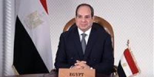 مناشدا الرئيس التدخل لحل أزمة المستثمرين.. محمود عصام: إلغاء العدادات التبادلية يهدد مستقبل الصناعة الخضراء في مطلع العام الجديد