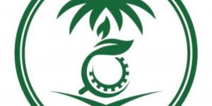 وظائف شاغرة في المركز الوطني للرقابة على الالتزام البيئي