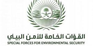 الأمن البيئي يضبط مواطنًا مخالفًا لنظام البيئة لإشعاله النار في غير الأماكن المخصصة لها في محمية الإمام فيصل بن تركي الملكية