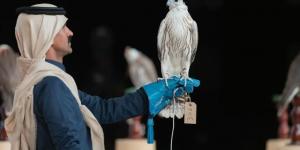 “مزاين الصقور” تختتم ثاني أيامها بـ3 أشواط في مهرجان الملك عبدالعزيز للصقور 2025