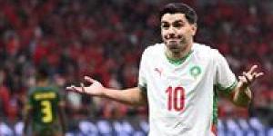 المغرب ضد الكاميرون.. منتخب المغرب ثاني المتأهلين لنصف نهائي كأس أمم أفريقيا بالفوز على الكاميرون بثنائية نظيفة