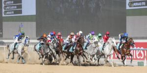 «ميدان» يستضيف السباق التجريبي الختامي للخيول العربية