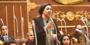 رئيس مجلس الشيوخ يهنئ النائبة أميرة صابر بانتخابها في المحافل الدولية