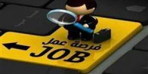 وزارة العمل تطرح 325 فرصة عمل برواتب تصل إلى 9500 جنيه في شركة كبرى