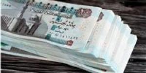 حدود السحب اليومي في مصر بعد قرار المركزي وتثبيت أسعار الفائدة