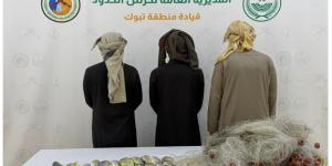 حرس الحدود بتبوك يضبط 3 مخالفين لمزاولة الأنشطة البحرية دون تصريح