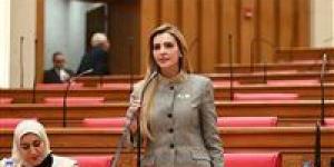 النائبة مروة بوريص: اكتشاف “دينيس غرب 1” خطوة جديدة لتعزيز أمن الطاقة وتقليل فاتورة الاستيراد