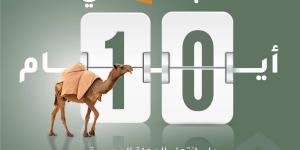 محمية الملك سلمان: مهلة 10 أيام لإخراج الماشية السائبة تمهيدًا لتطبيق الإجراءات النظامية بحق المخالفين