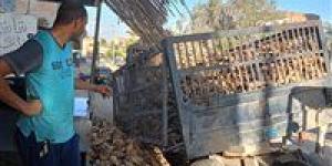 اختلال
      مقطورة
      جرار
      زراعي
      محمّلة
      بالبنجر
      في
      الفيوم
      بسبب
      أعمال
      الحفر
      دون
      إصابات