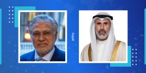 وزير الخارجية يناقش مع نظيره الباكستاتي تطورات الأحداث الراهنة في المنطقة