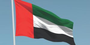 استهداف ناقلة نفط تابعة لأدنوك الإماراتية في مضيق هرمز بطائرات مسيّرة