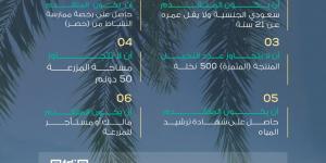 المركز الوطني للنخيل والتمور يفتح التسجيل في برنامج شراء التمور لموسم 2026