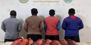 حرس الحدود في ينبع يضبط 4 مقيمين لمخالفة أنظمة الصيد البحري دون تصريح