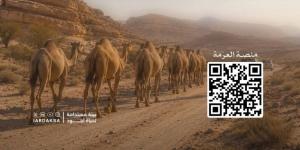 تصاريح رقمية لعبور الإبل بمحمية الإمام عبدالعزيز الملكية