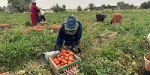الأغذية
العالمي:
مصر
مؤهلة
لتصبح
مركزًا
إقليميًا
للأمن
الغذائي
بالمنطقة
العربية