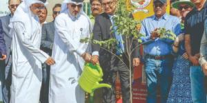مبادرة بيئية مشتركة لدعم الغطاء النباتي