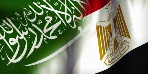 وزير
الخارجية:
تنسيق
مصري
سعودي
لحماية
أمن
البحر
الأحمر